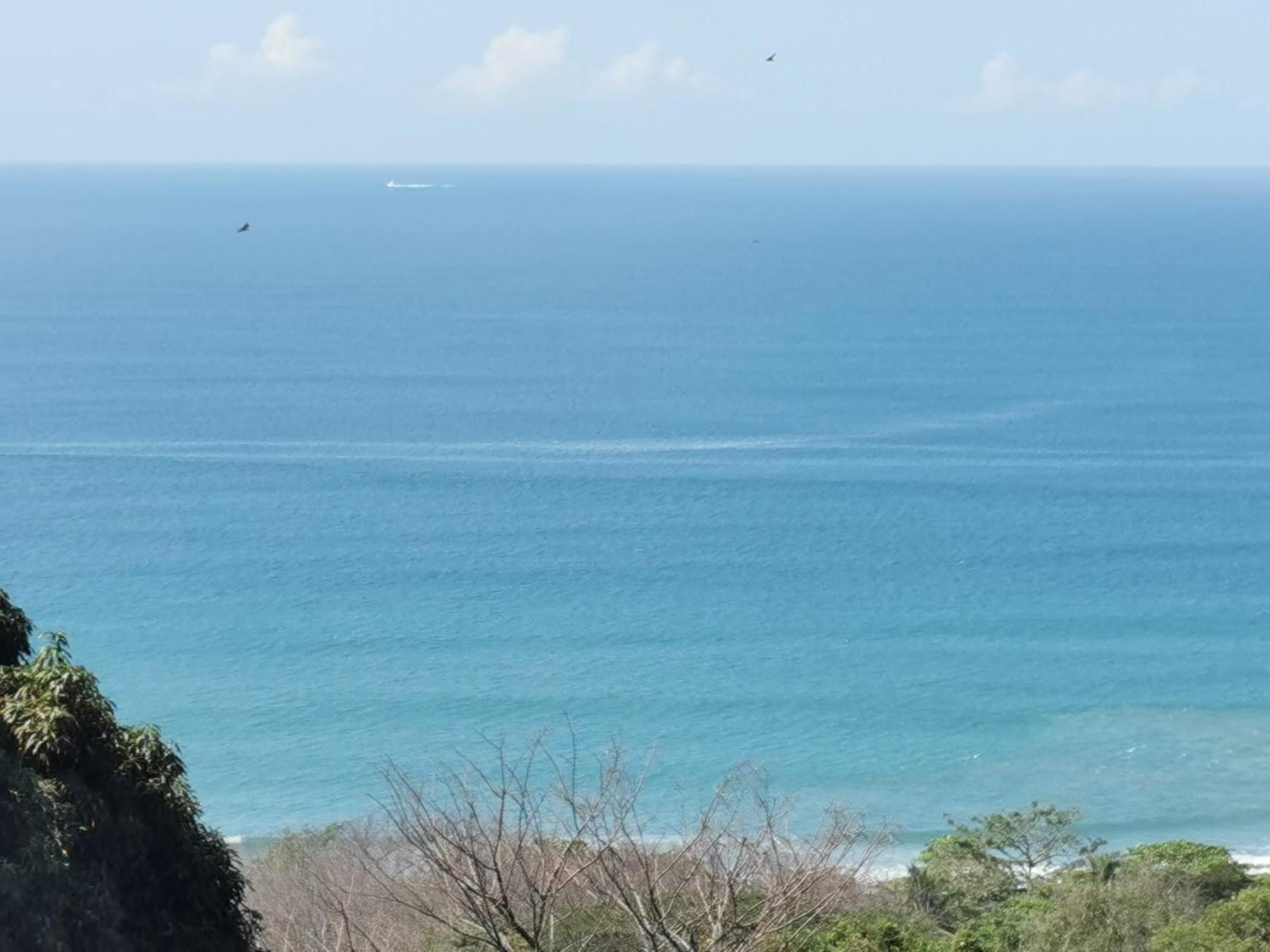 Casa Luna - Private Suites With Ocean View, Pool, Ac, Wifi Playa Santa Teresa  Esterno foto